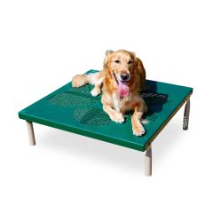 BarkPark Dog Agility Paws Grooming Table, Green/Beige