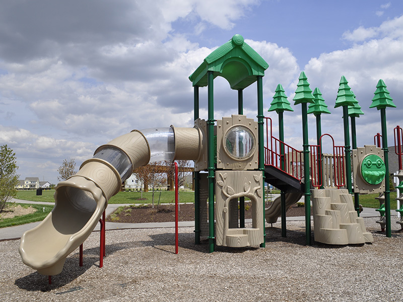 Playground Monkey Bars for Schools by SportsPlay